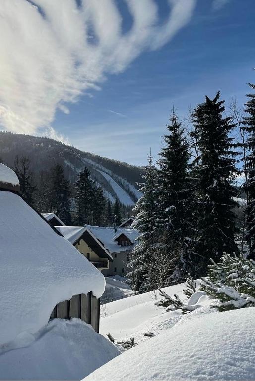 Garage Harrachov Daire Dış mekan fotoğraf